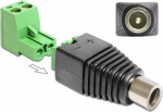 DELOCK Adapter Terminalblock 2Pin -> DC 2.5 x 5.5mm Bu 2-tei