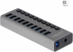 DELOCK External SuperSpeed USB Hub with 10 Ports + Schalter