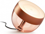 Philips Hue | Hue Iris Portable Lamp, Copper Special Edition | Copper/brass | Portable lamp