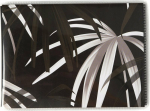 Focus album Base Line Canvas 11x15/36, must