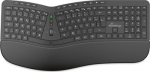 MediaRange ergonomic multimedia wireless keyboard,QWERTZ, sw