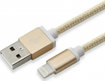 Sbox USB 2.0 8 Pin IPH7-G gold