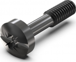 SCHROFF Cross-head neck screw/Schlitz - HALSSCHR.M.KR.M2.5 SCHW.100S (21101102)