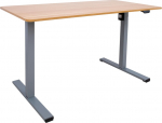 Desk ERGO OPTIMAL with 1 motor 120x60xH71-116cm, oak/silver grey