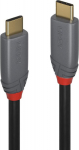 Lindy Anthra Line - USB-Kabel - USB-C (M) zu USB-C (M)