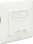 Delock Modular Wall Outlet flush mount 2 Port Cat.6A LSA