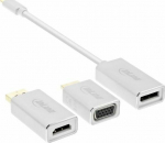 Adapter USB InLine USB-C - DisplayPort White (64109S)