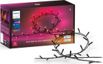 Philips Hue Festavia Lichterkette 20m