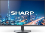 Sharp Monitor MultiSync DD-E224F 22 Czarny