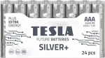 Tesla BATTERY TESLA SILVER+ AAA LR3 /10 old