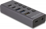 Delock Hub - 5 Gbps, 1 fast charging port