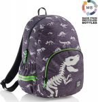 Koolikott ROMA - T-REX Miquelrius