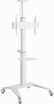 TV SET ACC FLOOR STAND 37-70"/WHITE TVS-70T-02-W GEMBIRD