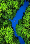 Clementoni Puzzle Compact Tropical Aerial View 500 element&oacute;w (35592)