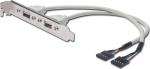 DIGITUS Slotblech 2xUSB/A -> IDC 2x5Pin Bu/Bu 0.25m Polybeutel
