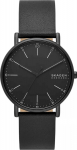 SKAGEN Signatur SKW6902 Men's Watch / silver
