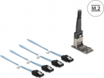Delock Schnittstellenadapter - SATA 6Gb/s