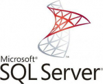 Microsoft SQL SVR STD CORE, OLV SA NL 1YACQY2 ADP