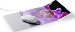 DURABLE Mouse Pad Plus with photo insert gray/transp