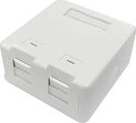 Lanview Surface mount box for 2 x, RJ45 jack