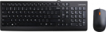 Lenovo 300 keyboard Mouse included Universal USB QWERTY US English Black