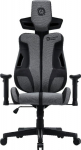 CANYON Morphos Gaming Chair ABCH01 Szary