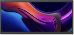 SOLUM B25B - 64 cm (25") Diagonalklasse B Series LCD-Display mit LED-Hintergrundbeleuchtung - Digital Signage - Android 2560 x 1080 - Edge LED - Schwarz - Delivered Duties Paid (DDP)