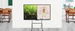 BenQ BenQ MT01 interactive whiteboard accessory Black Stand, Szary
