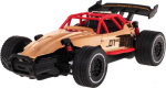 RoGer RACING 01 RC High Speed Metal Car 1: 20