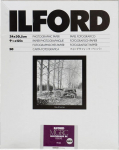 1x 50 Ilford MG RC DL 44M 24x30