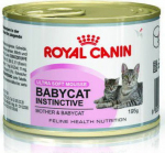 Roy Royal Canin BABYCAT INSTINCTIVE - Wet cat food - 195 g