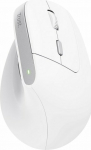 Trust Bayo mouse II White (25398)