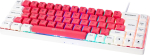 GAMIAC TKL69G SF Gaming Keyboard, Kailh Blue - white/red