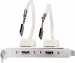 Lindy PC Back Plate, USB 2.0, 2 Port