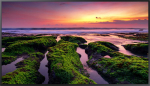 Samsung QB43CDigital signage flat UHD, 3840x2160 (16:9) 350 16/7