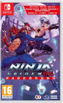 Silver Lining Interactive NSW Ninja Gaiden: Ragebound