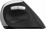 Rapoo Mouse RAPOO ERGONOMIC WIRELESS MOUSE EV250