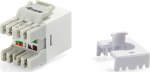 Equip Keystone Jack ungeschirmt Cat6 LSA schlank 8Stk ws