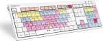 Logickeyboard LKB-PT-CWMU-FR - Full size (100%) - Kabelgebunden - USB - mechanical Switch - AZERTY - Mehrfarbig
