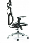 BEMONDI Ergonomic office chair ERGO 500 grey