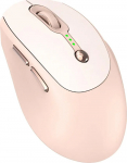 RoGer Q7 Wireless Rechargeable Mouse DPI 1600 / Type-C