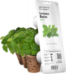 Click & Grow Smart Garden refill Sidrunmeliss 3tk