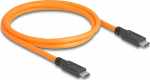 Delock USB-Kabel - 24 pin USB-C (M) zu 24 pin USB-C (M)
