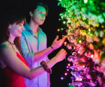 Twinkly strings 250L 5mm RGBW transparent - 250L 5MM matt+clear flat RGBW lens light string, 8cm lamp spacing, Blackgreenwire, BT+WiFi, Gen II, IP44