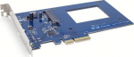 OWC Accelsior S - Schnittstellenadapter - 2.5" (6.4 cm)