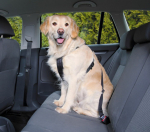 Trixie Vehicle harness for a dog M