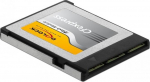 Delock Flash memory card, - 256 GB - CFexpress