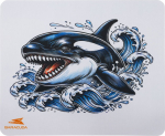 Baracuda BGMP-071 Orca 300x250