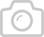 Neomounts PLASMA-W040 - Halterung - fest - for flat screen - Schwarz - screen size: 55.9-106.7 cm (23"-52")