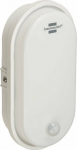 Brennenstuhl oval light OL 1650 P